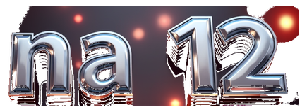 na 12 logo